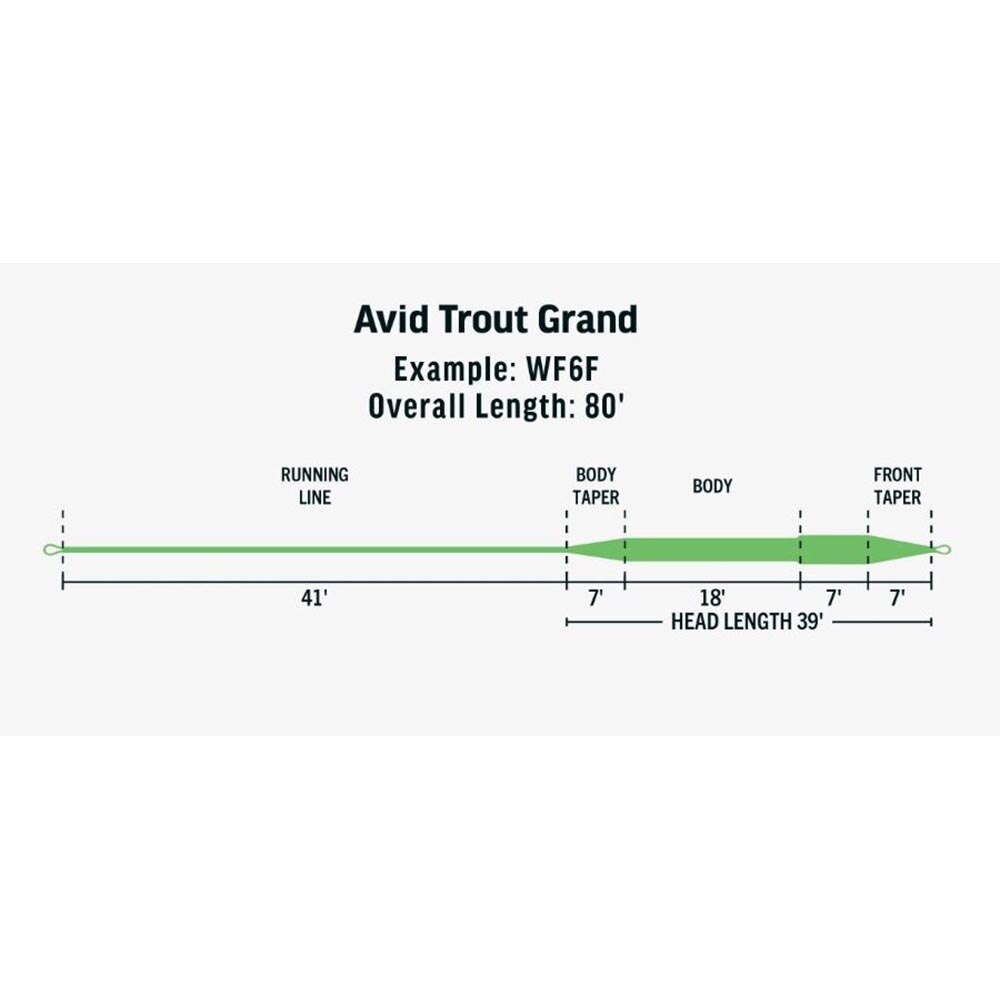 Rio Avid Grand Fly Line